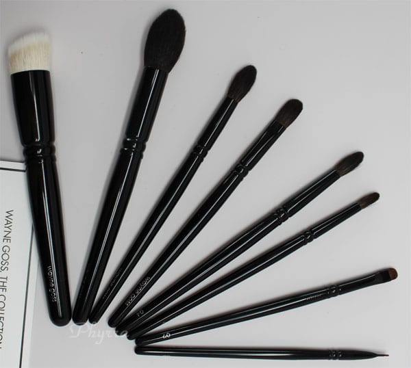 Beautylish Wayne Goss Brush Set Review