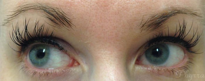 Xtreme Lash Extensions after 2 weeks