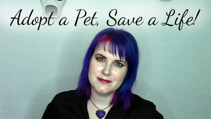 Adopt a Pet, Save a Life!