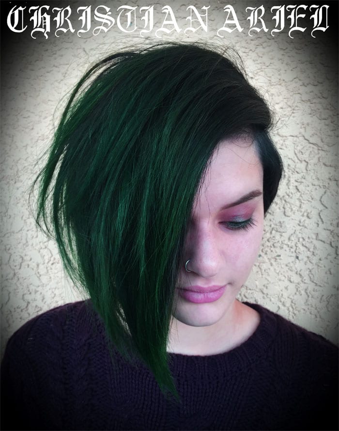 Pravana Norske Skoggrønn (Norweigan Forest Green) Hair