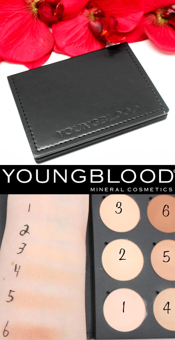 Youngblood Contour Palette Review Swatches Looks
