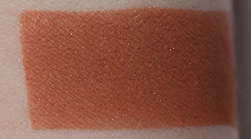 Tarte Swamp Queen Sweet Tea Swatch