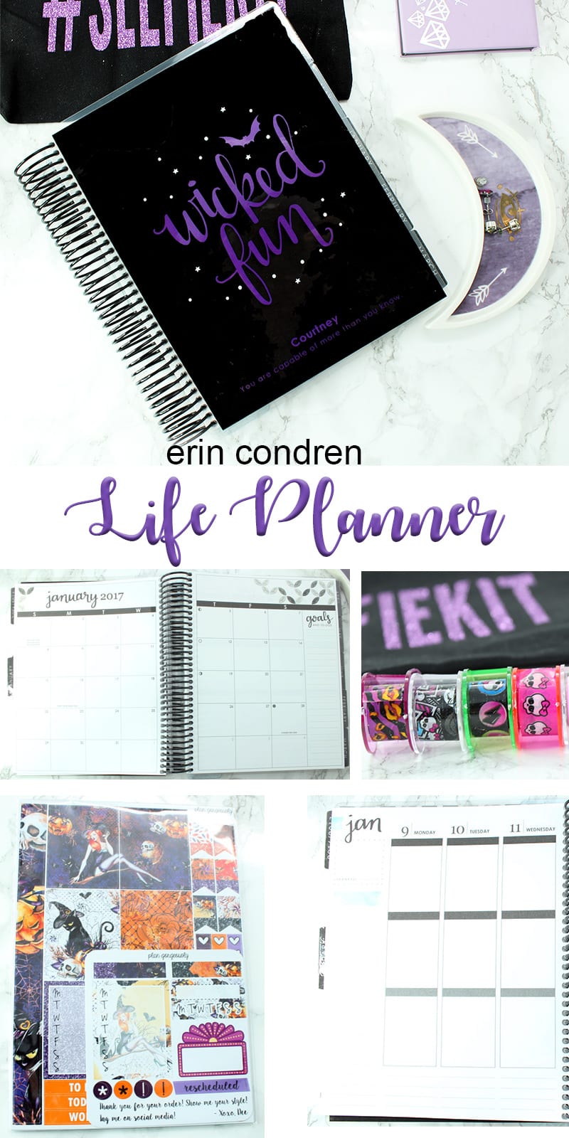 Erin Condren Wicked 2017 LifePlanner