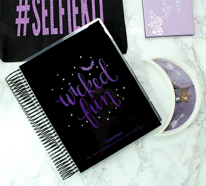 Erin Condren Wicked 2017 LifePlanner