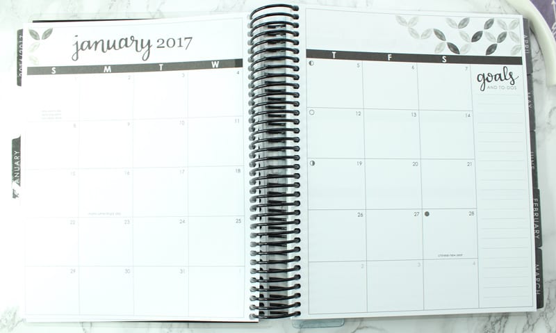 Erin Condren Wicked 2017 LifePlanner