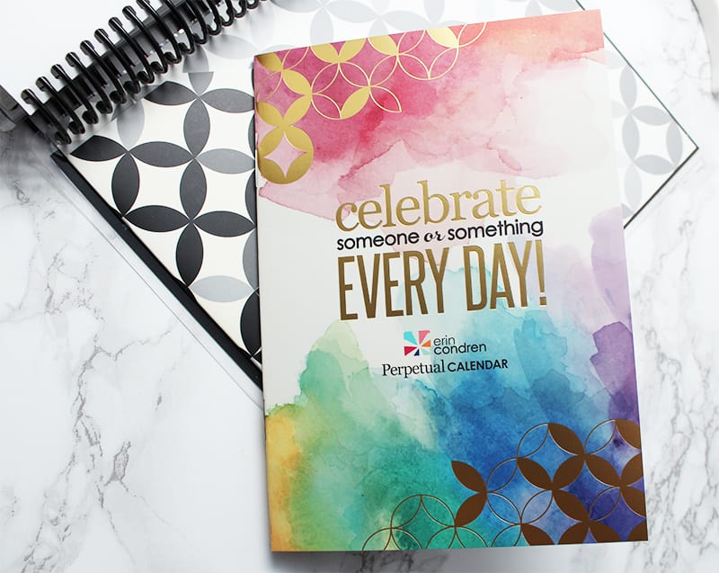 Erin Condren Wicked 2017 LifePlanner