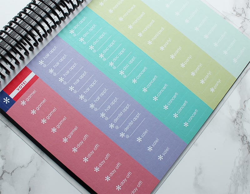 Erin Condren Wicked 2017 LifePlanner