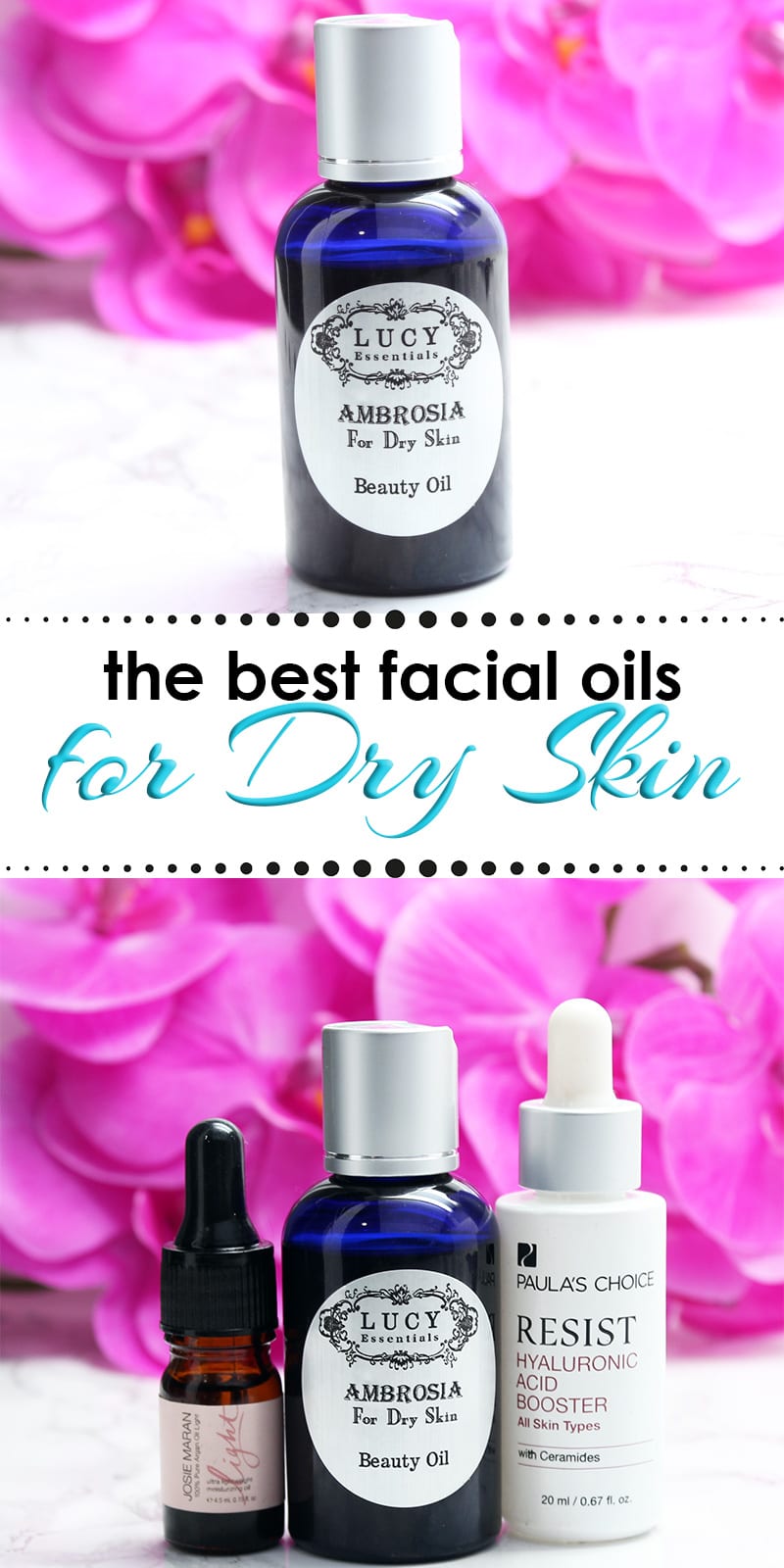 Best Facial Oils for Dry Skin