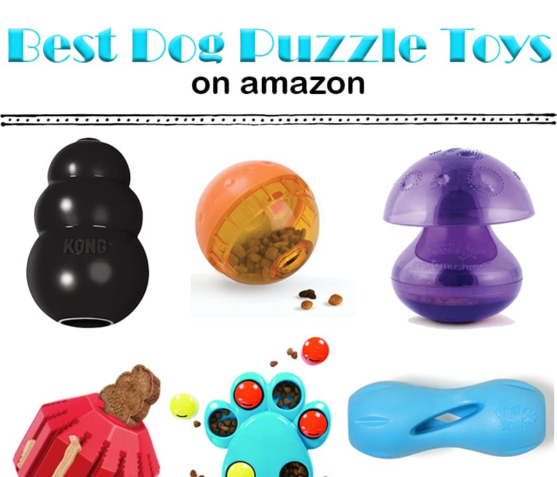 Dog Toys: Top 10 Best Puzzle Toys on Amazon