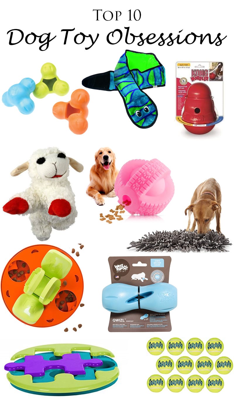 Nyx’s Top 10 Dog Toy Obsessions