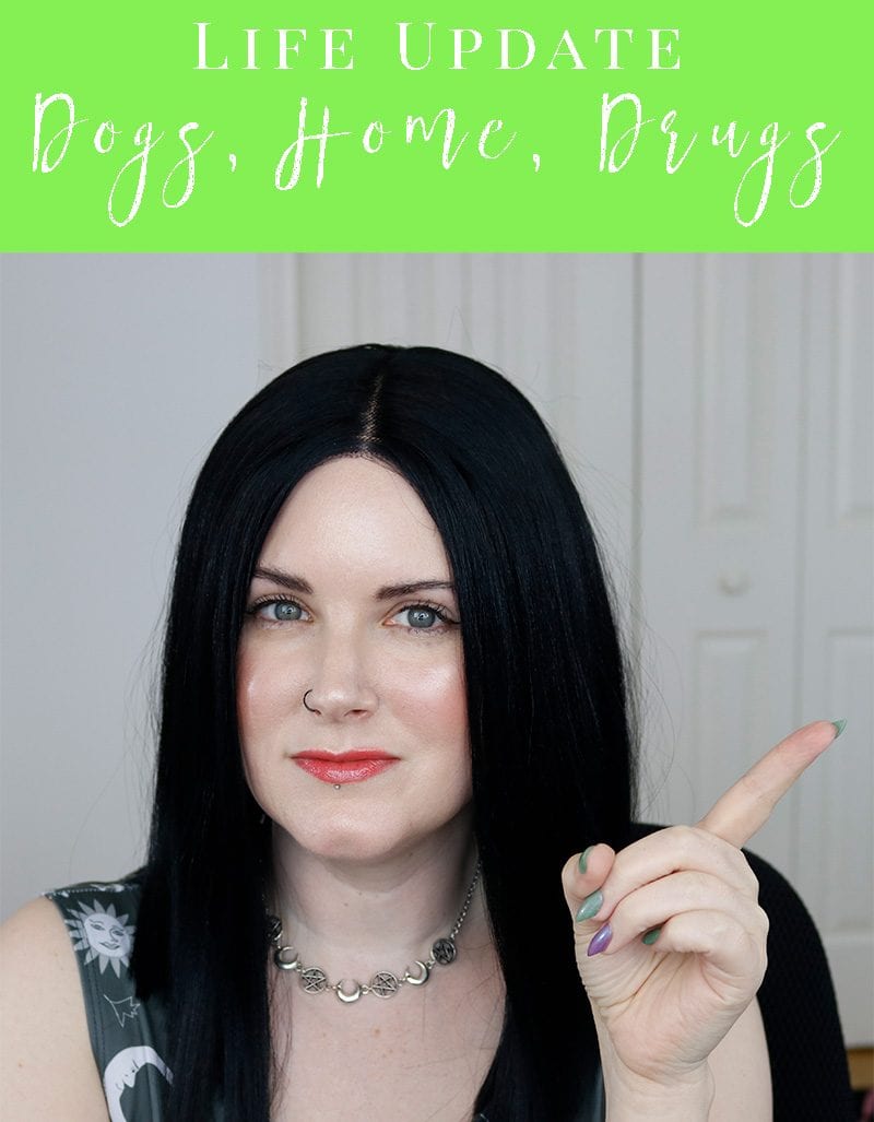 Life Update About My Home, My Dogs, Drugs, & Blogging. I speak candidly about changes I've made in my lifestyle and home.