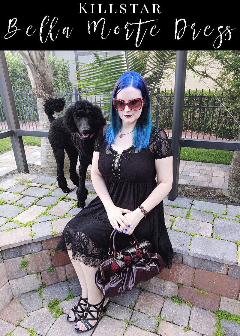 Courtney is wearing her Killstar Bella Morte Lost Babydoll Dress, holding a Valentino Lacca Fleur handbag in burgundy and Naturalizer Danya Sandals. Her standard poodle puppy Nyx. #plussizefashion #witchystyle #gothicfashion #killstar #LTKCurves