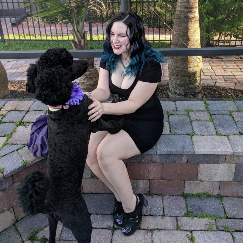 Nyx the Black Standard Poodle Puppy