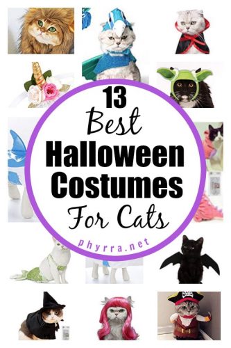 13 Best Halloween Costumes For Cats