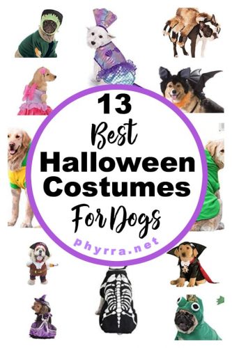 13 Best Halloween Costumes For Dogs
