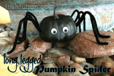 DIY Long Legged Pumpkin Spider by Trish Sutton