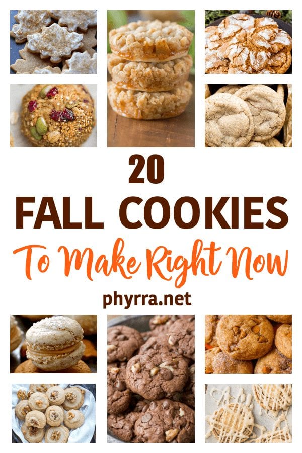 20 Fall Cookies To Make Right Now