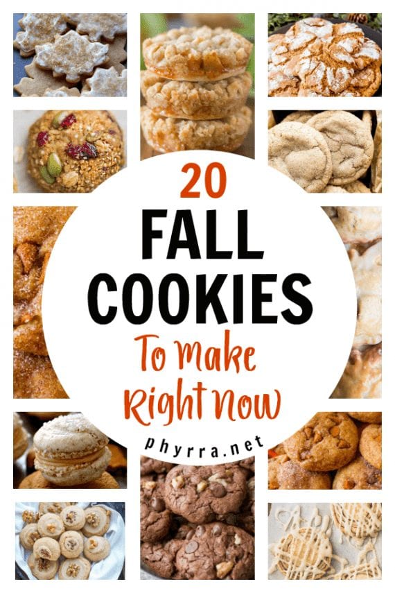 Fall Cookie Recipes - 20 Fall Cookies To Make Right Now