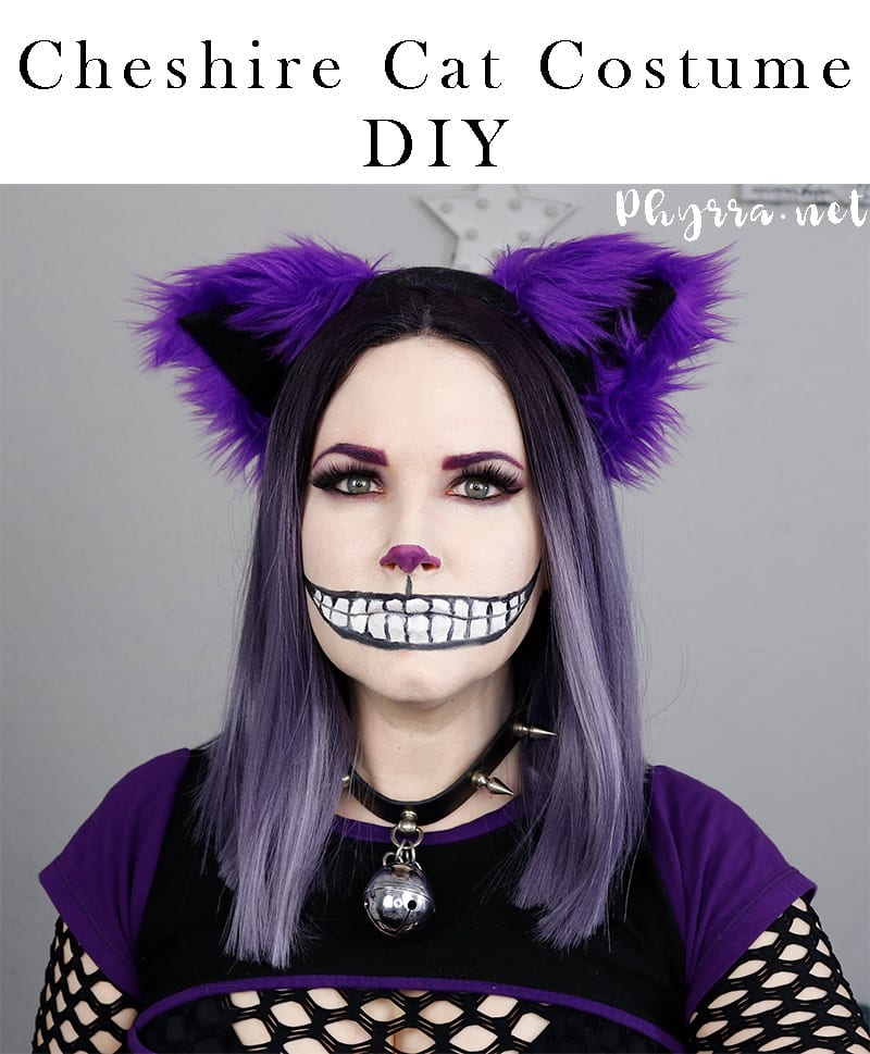 DIY Cheshire Cat Costume We re All Mad Here I m Mad You re Mad