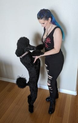 Rocker Chic Outfit with standard poodle puppy