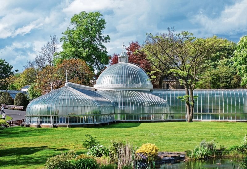 Glasgow’s Botanic Gardens