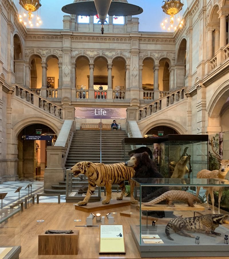 Kelvingrove Art Gallery and Museum