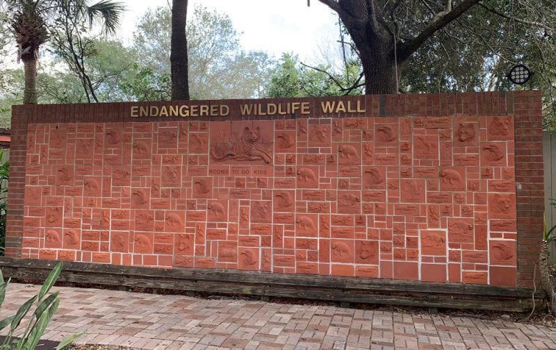 Endangered Wildlife Wall