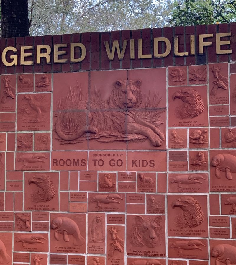 Endangered Wildlife Wall