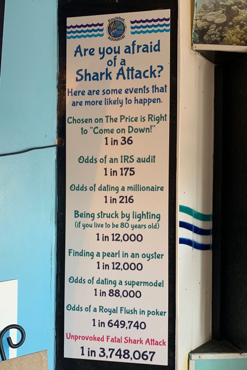 Shark Facts