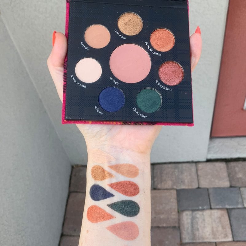 Tarte Fall Feels Palette Swatched on Pale Skin