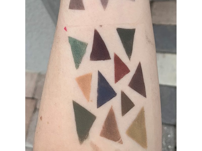 Aromaleigh Fall 2019 Eyeshadow Swatches