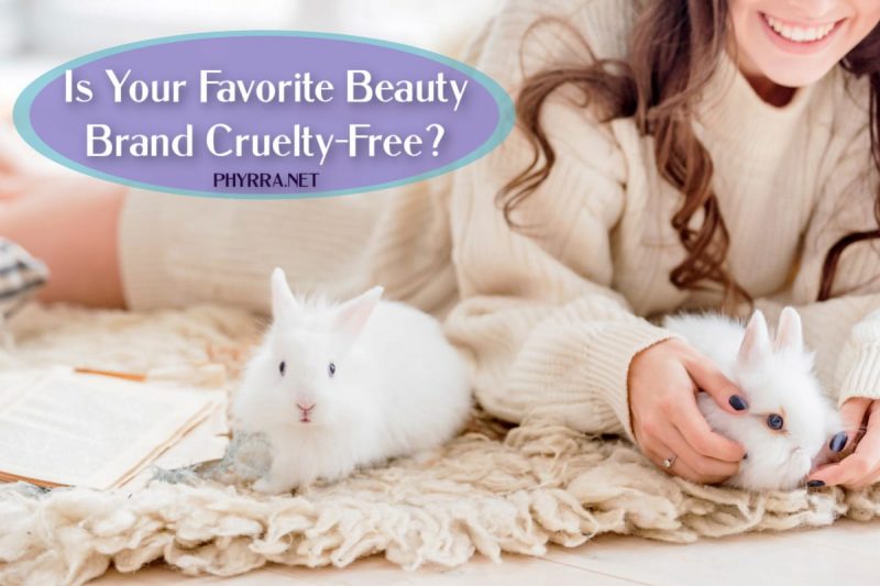 Makeup brands that store test on animals