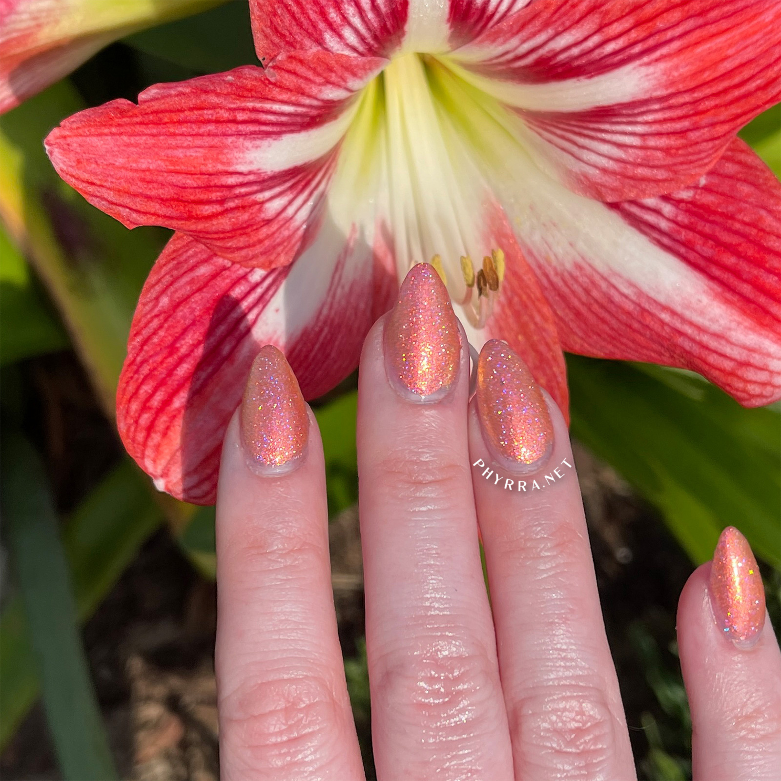 Cupcake Polish Shimmering Sunburst Mani