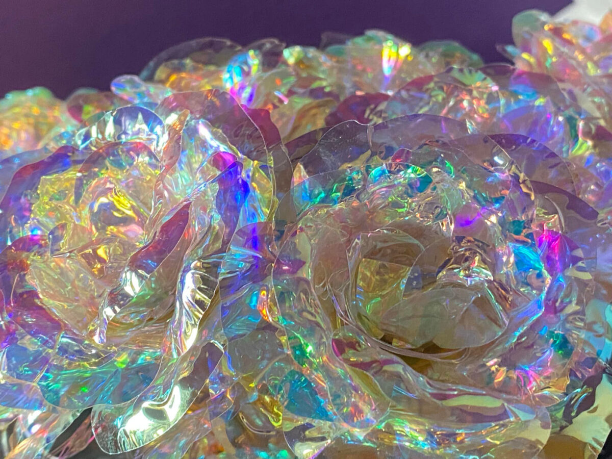 Iridescent Galaxy Roses