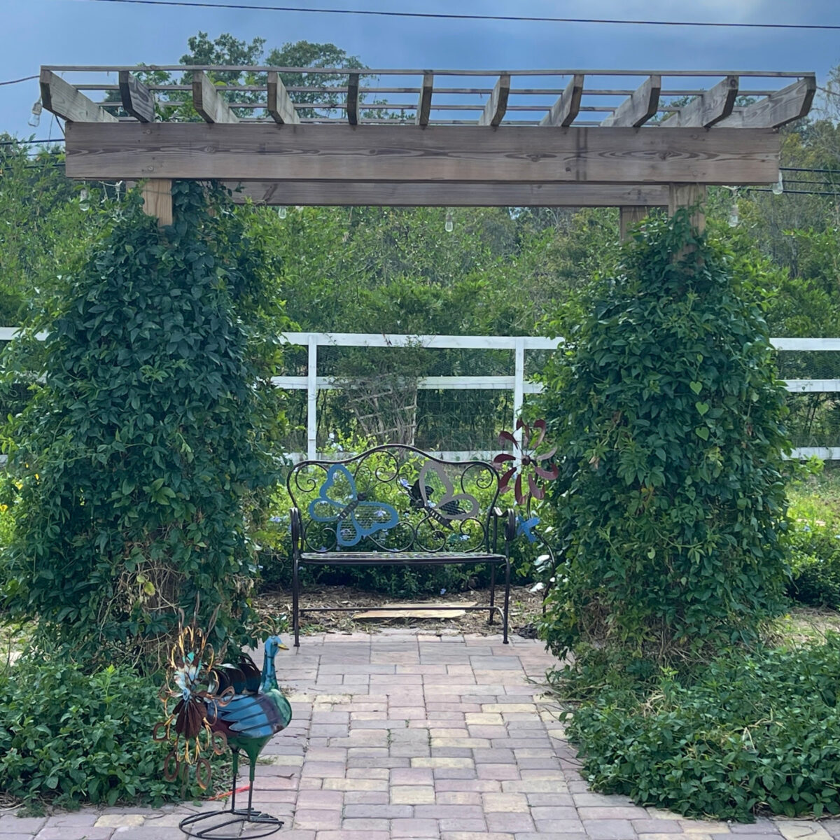 Butterfly Garden at Raprager Family Farms