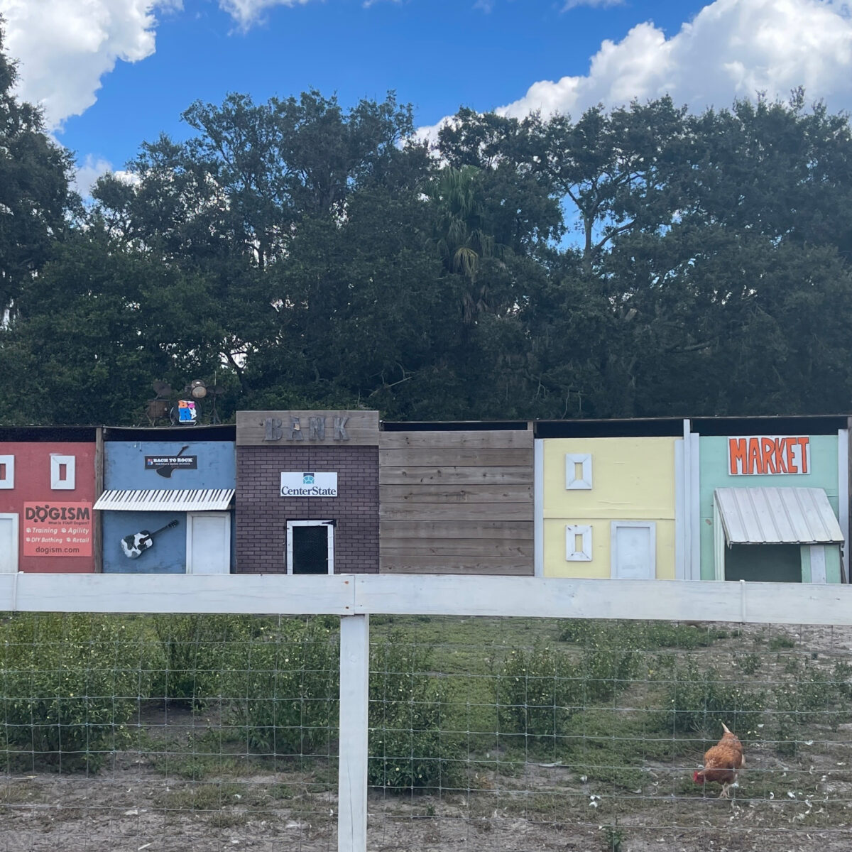 Farm animal housing at Raprager Family Farm