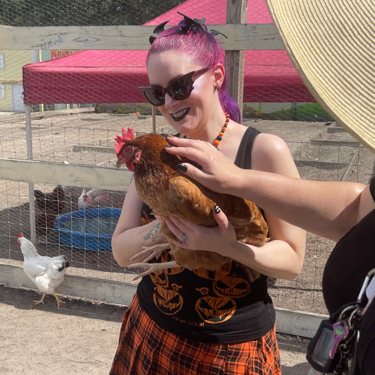 Cordelia đang ôm một chú gà trống thân thiện dễ thương