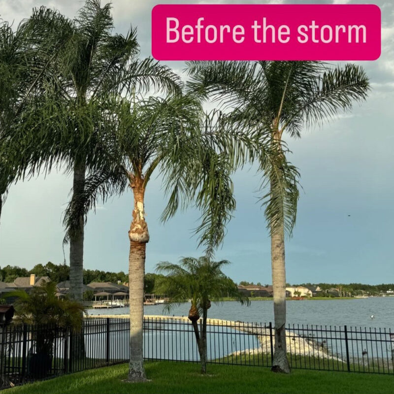 Before and after Hurricane Helene and Hurricane Milton in the greater Tampa Bay Area.