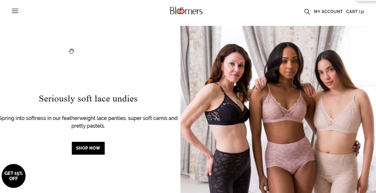 A Tale of Two Panties: Bloomers and Underoutfit - Bloomers Panties Underwear Review